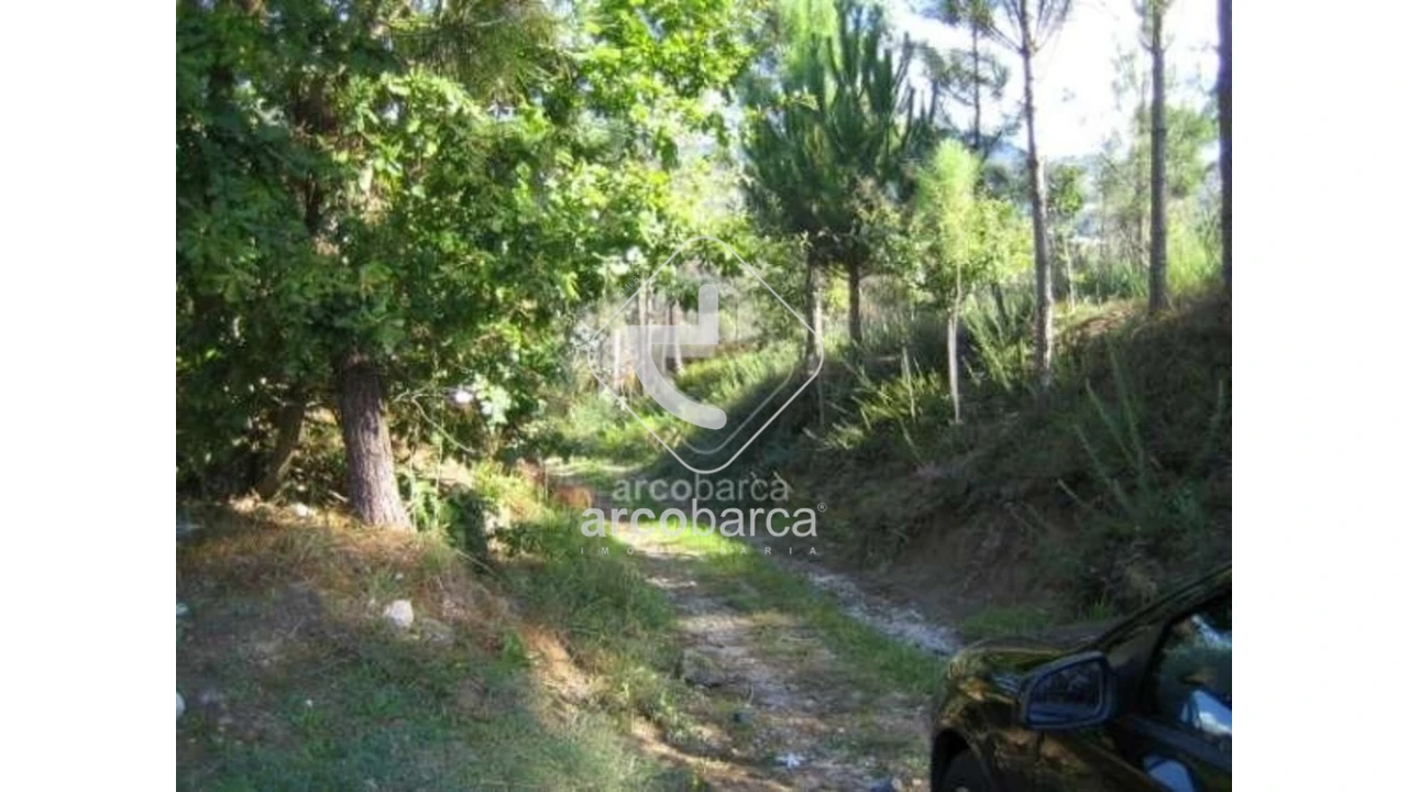 Terreno para Venda em Aguiã Foto 2