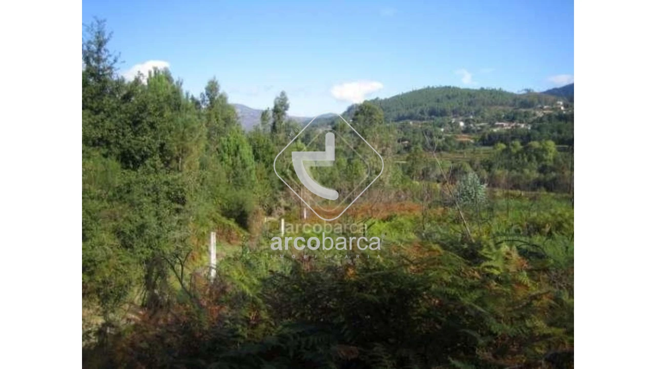 Terreno para Venda em Aguiã Foto 3