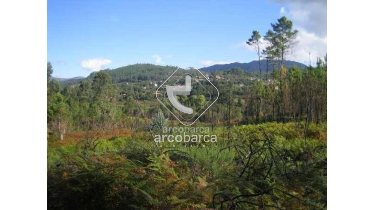 Terreno para Venda em Aguiã Foto 5