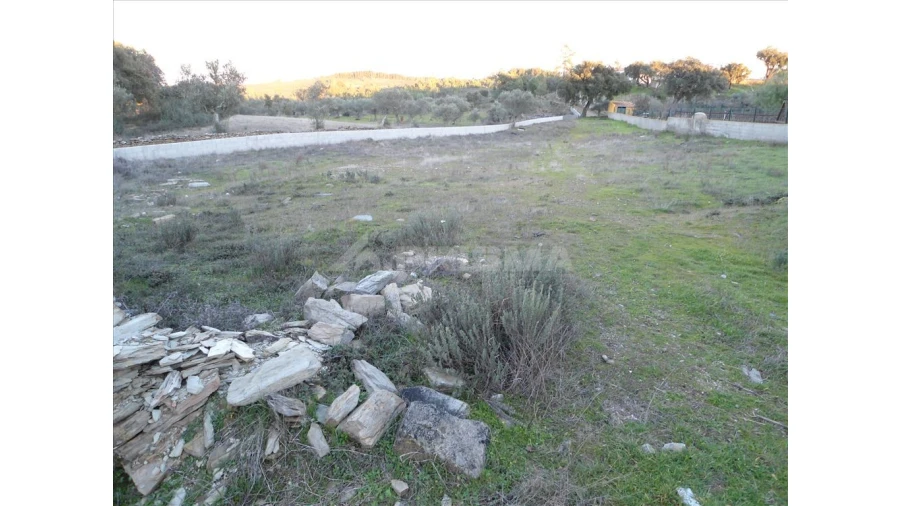 Terreno para Venda em Benquerenças Foto 6