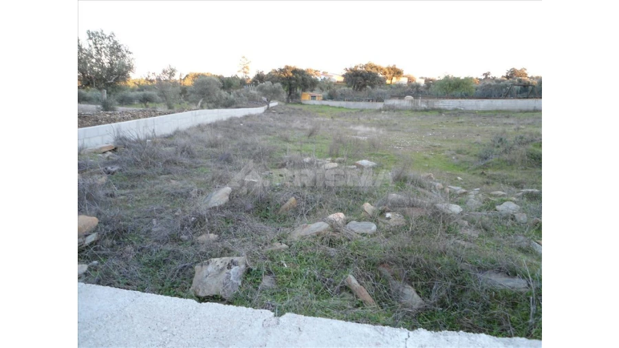 Terreno para Venda em Benquerenças Foto 8