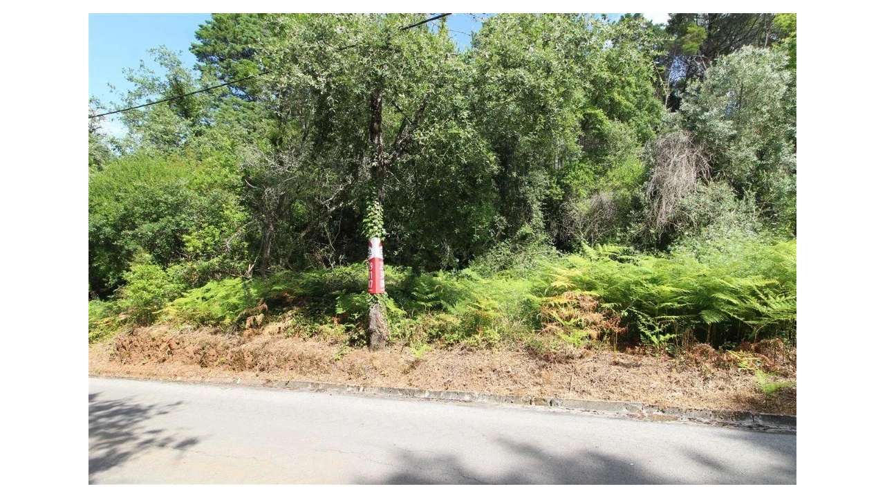 Terreno para Venda em Eiras e São Paulo de Frades Foto 2
