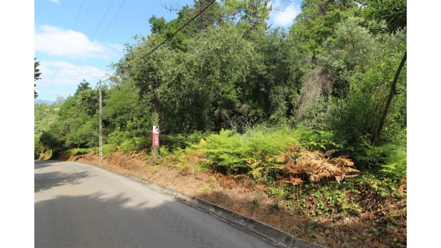 Terreno para Venda em Eiras e São Paulo de Frades