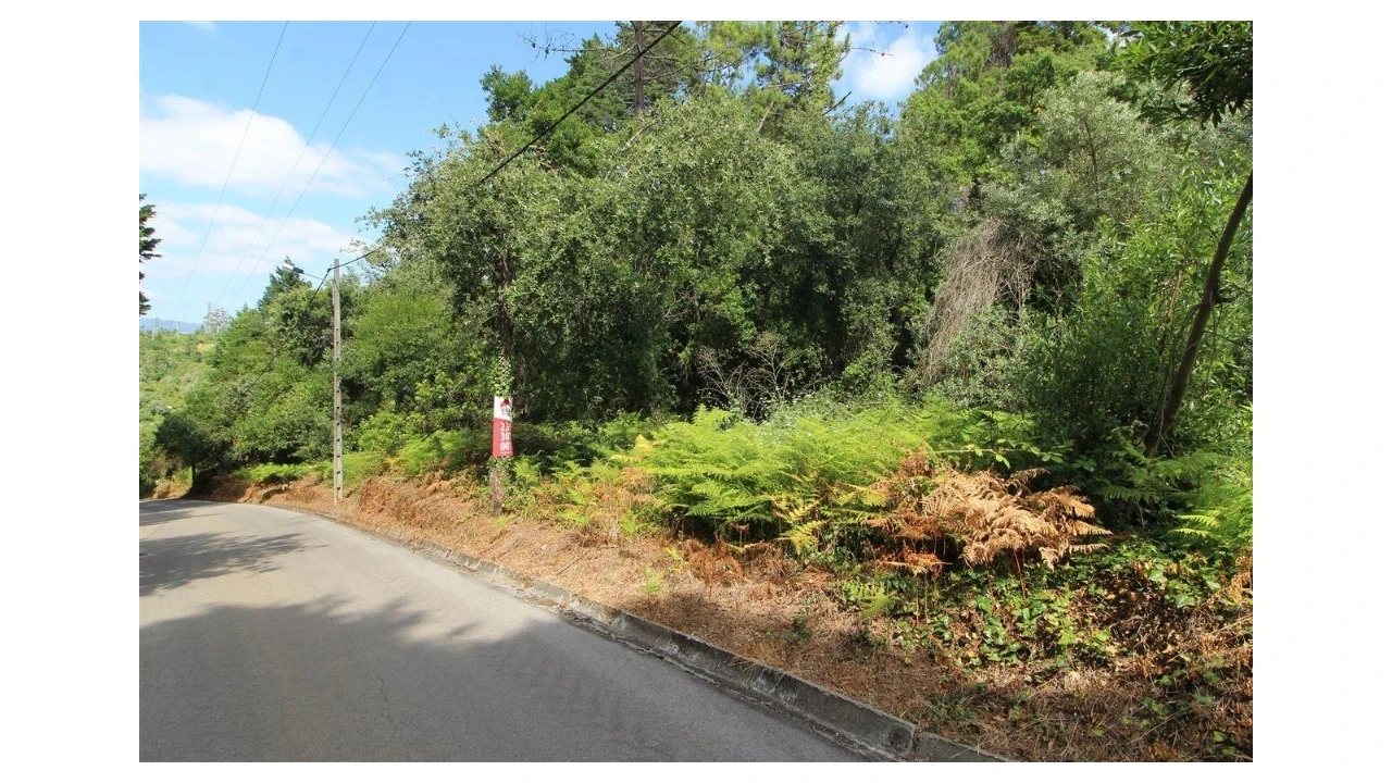 Terreno para Venda em Eiras e São Paulo de Frades Foto 1