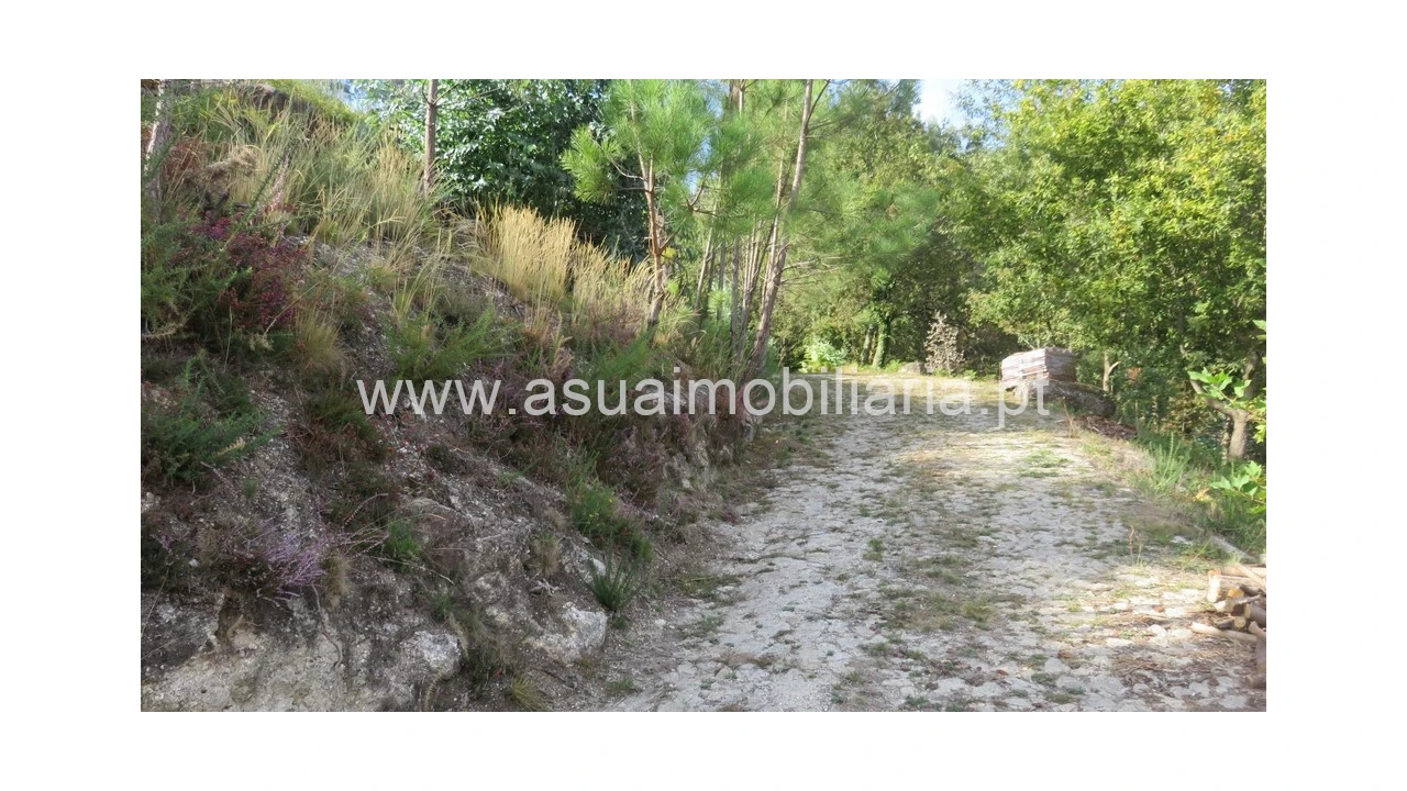Terreno para Venda em Valdosende Foto 2