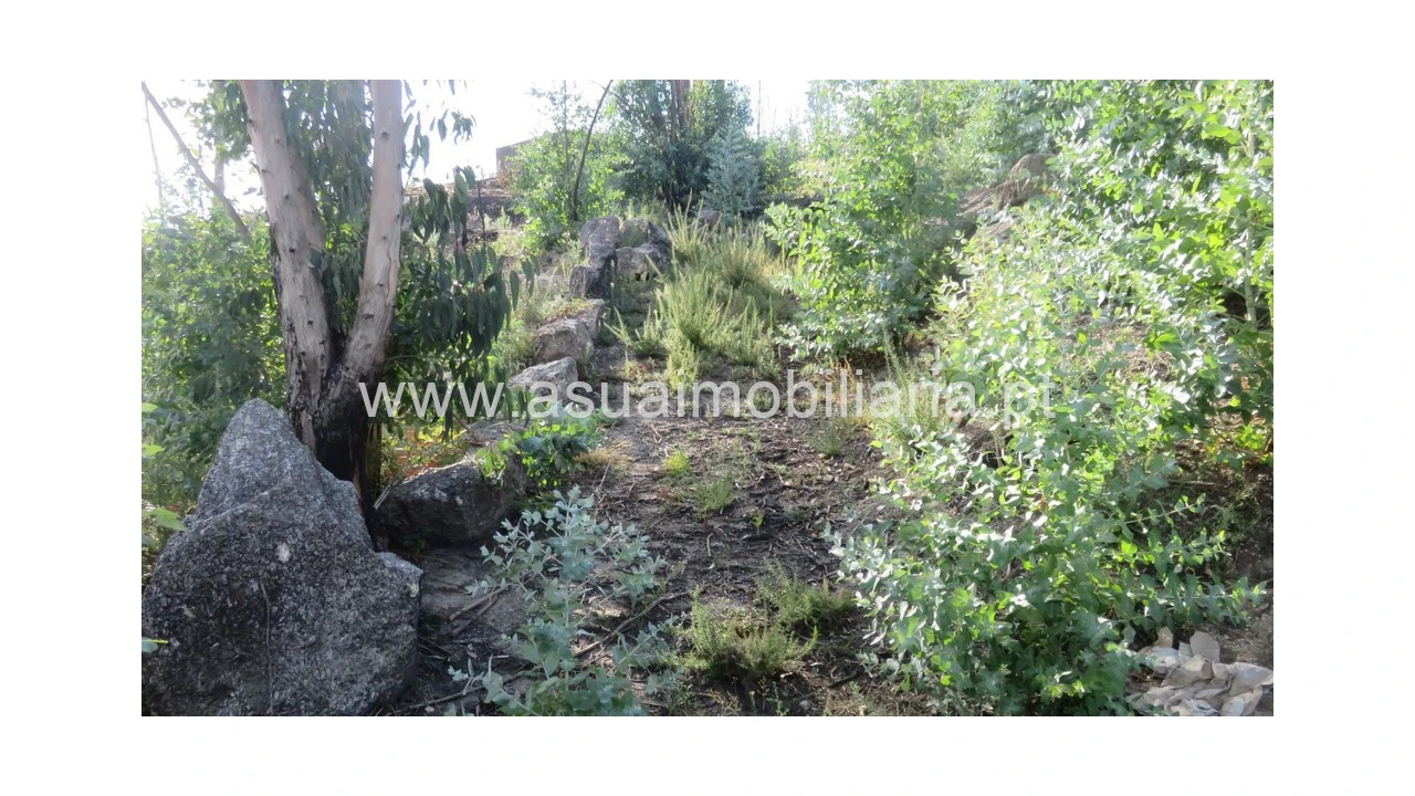 Terreno para Venda em Valdosende Foto 1