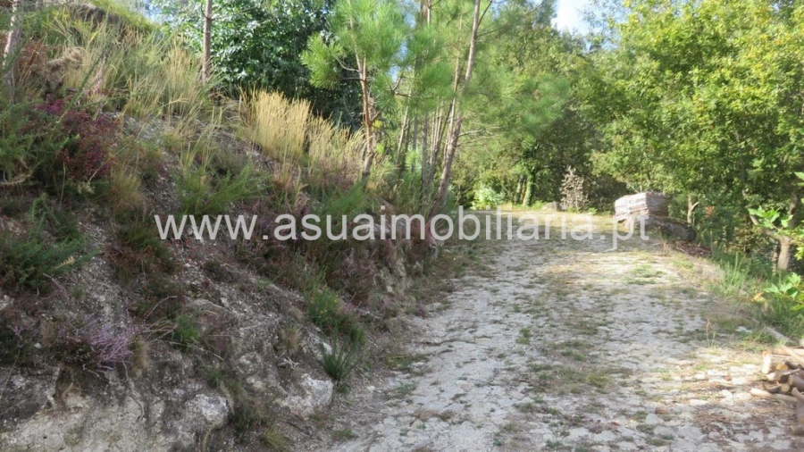 Terreno para Venda em Valdosende Foto 2