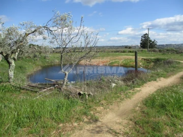 Terreno para Venda em Póvoa de Rio de Moinhos e Cafede
