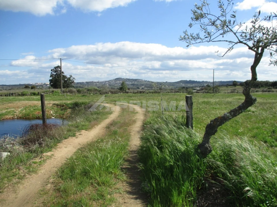 Terreno para Venda em Póvoa de Rio de Moinhos e Cafede Foto 13