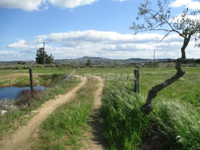 Terreno para Venda em Póvoa de Rio de Moinhos e Cafede Foto 13