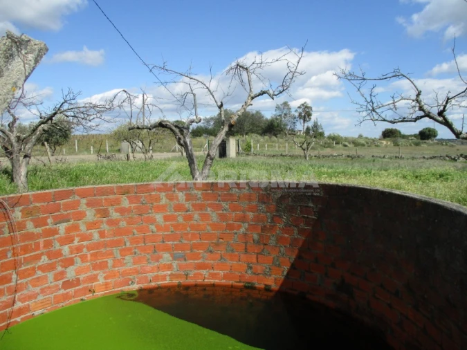 Terreno para Venda em Póvoa de Rio de Moinhos e Cafede Foto 10