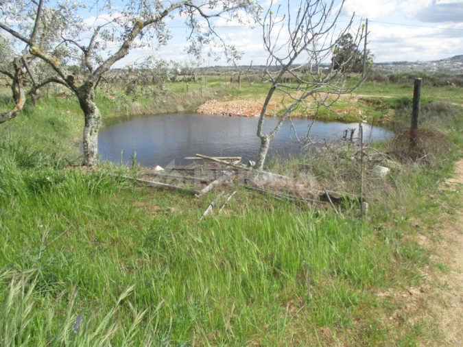Terreno para Venda em Póvoa de Rio de Moinhos e Cafede Foto 2