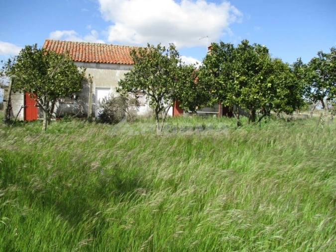 Terreno para Venda em Póvoa de Rio de Moinhos e Cafede Foto 3