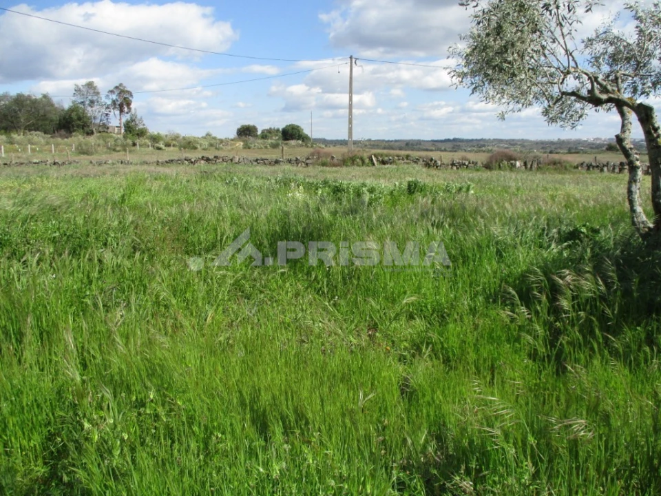 Terreno para Venda em Póvoa de Rio de Moinhos e Cafede Foto 9
