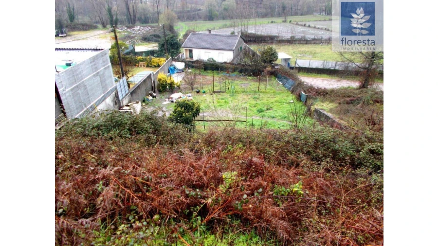 Terreno para Venda em Lago Foto 4