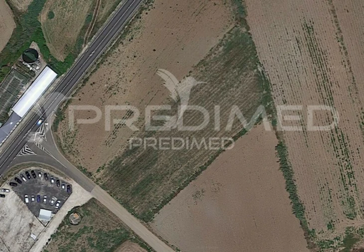 Terreno para Venda em Lourinhã e Atalaia Foto 3