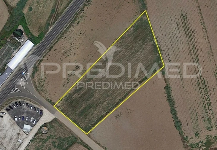 Terreno para Venda em Lourinhã e Atalaia Foto 4