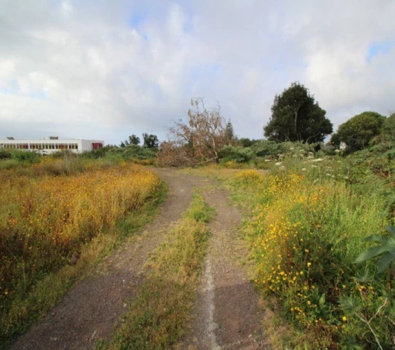 Terreno para Venda em Rosto do Cão (São Roque) Foto 6