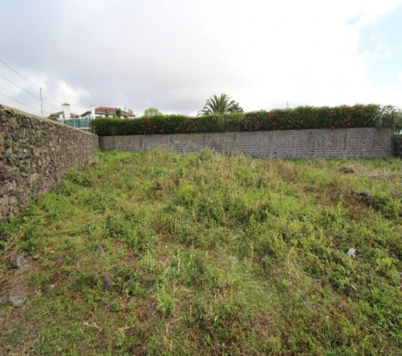 Terreno para Venda em Rosto do Cão (São Roque) Foto 11