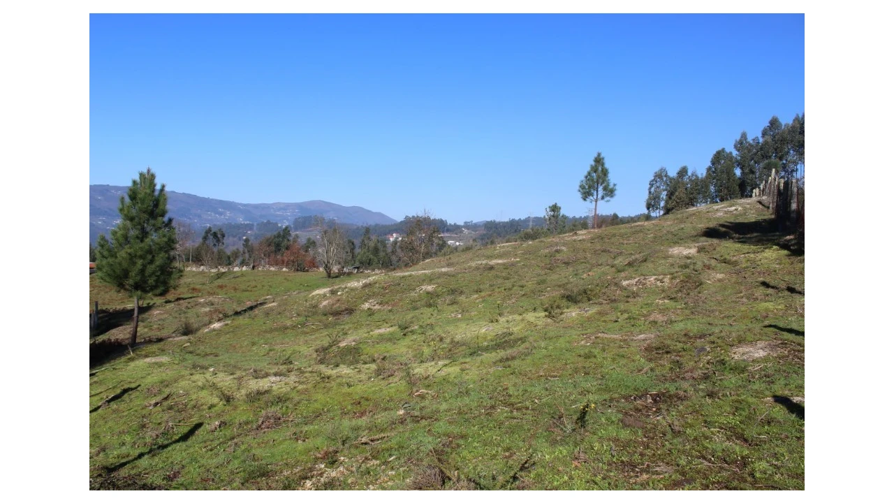 Terreno para Venda em Gondoriz Foto 1