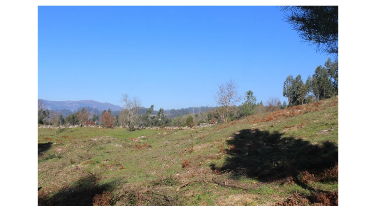 Terreno para Venda em Gondoriz Foto 2