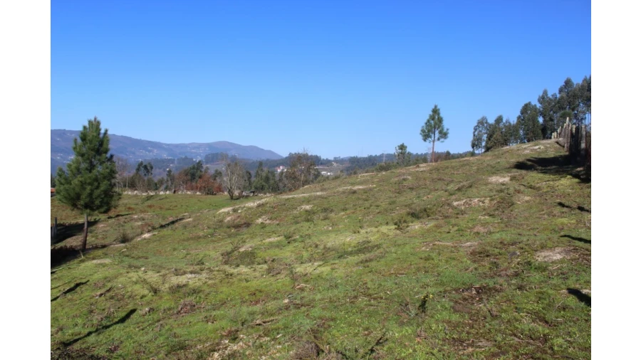 Terreno para Venda em Gondoriz Foto 1