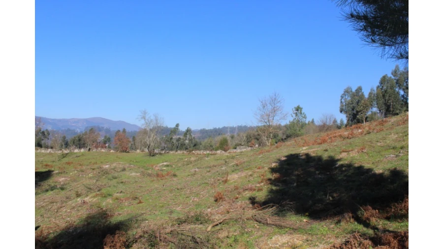 Terreno para Venda em Gondoriz Foto 2