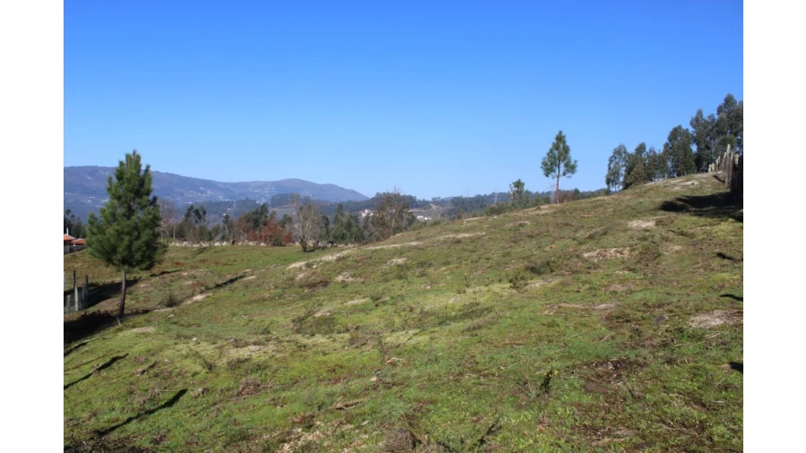Terreno para Venda em Gondoriz Foto 4