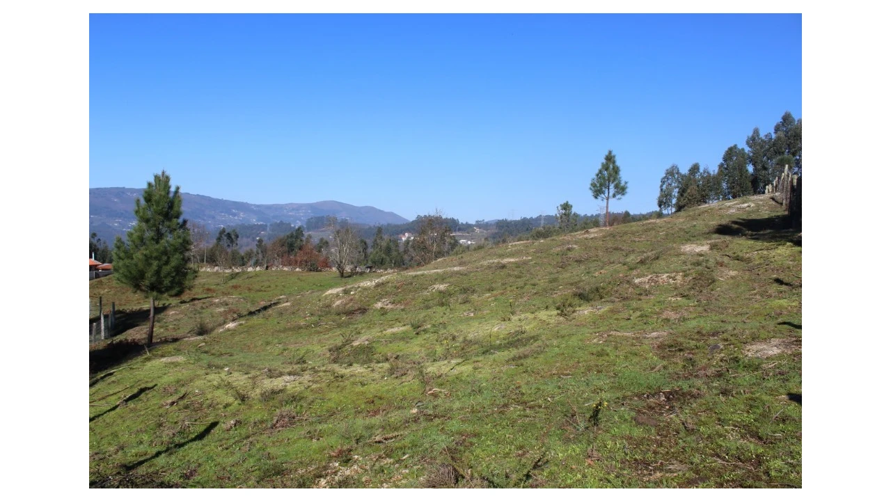 Terreno para Venda em Gondoriz Foto 4