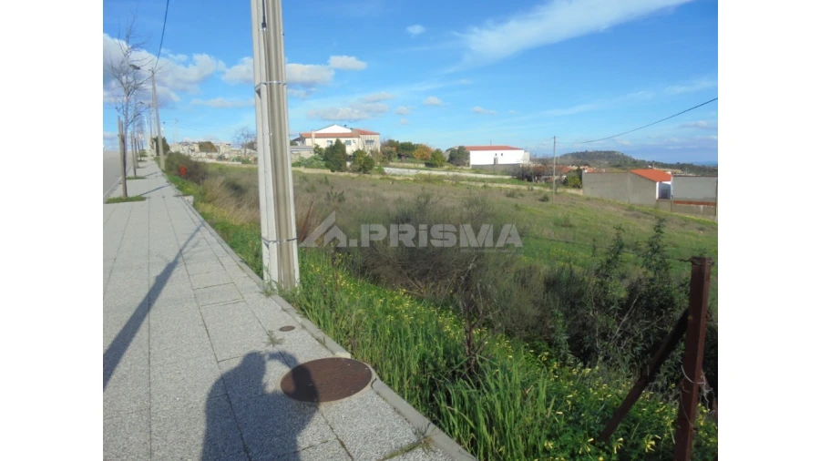 Terreno para Venda em Castelo Branco Foto 3