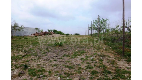 Terreno para Venda em Almalagues