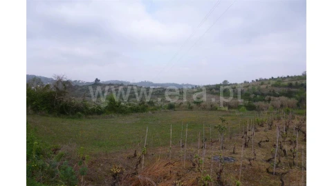 Terreno para Venda em Almalagues
