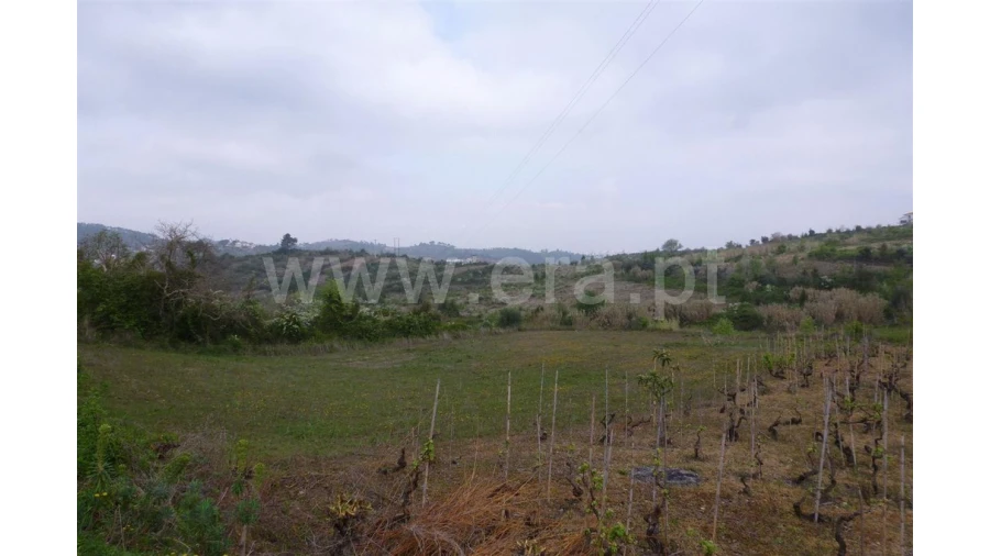 Terreno para Venda em Almalagues Foto 2