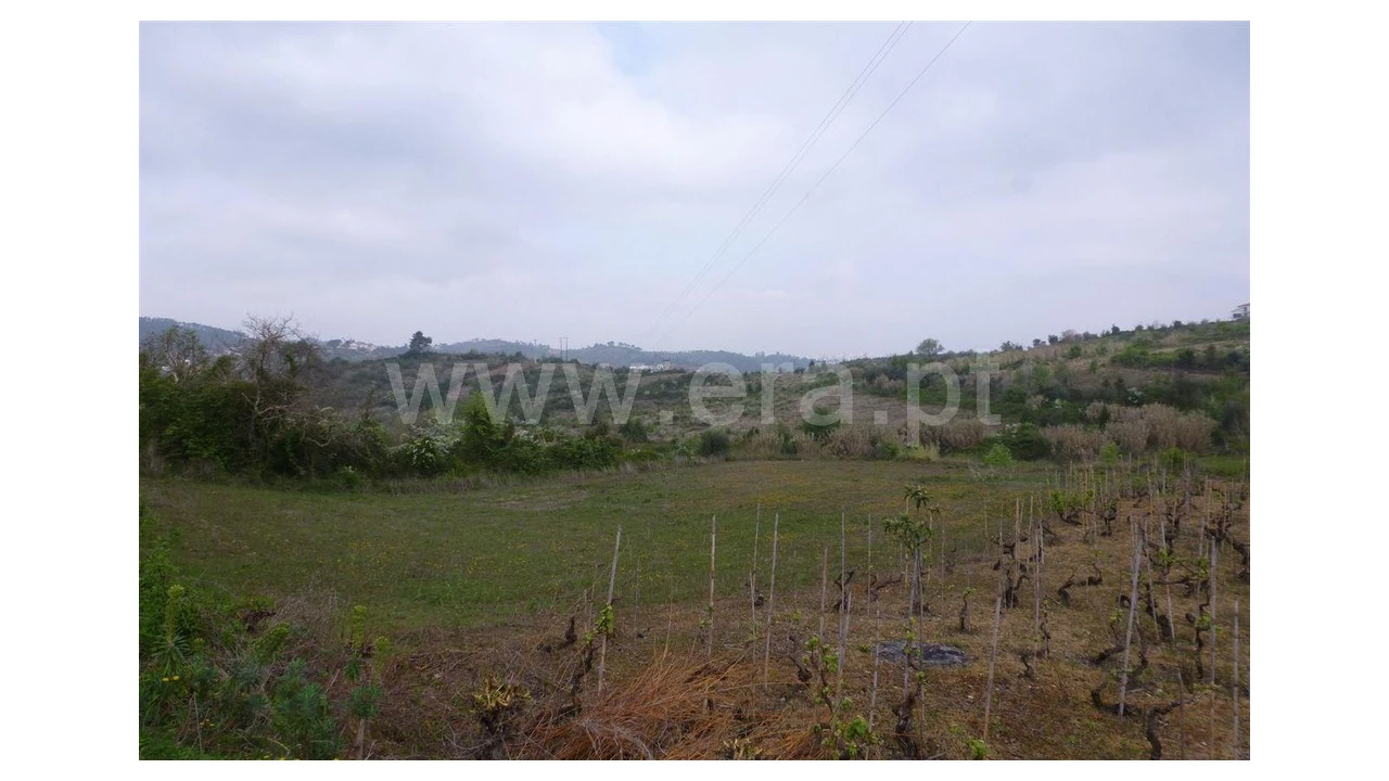 Terreno para Venda em Almalagues Foto 2