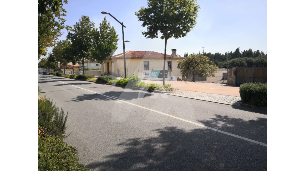 Terreno para Venda em Ovar, São João, Arada e São Vicente de Pereira Jusã Foto 2