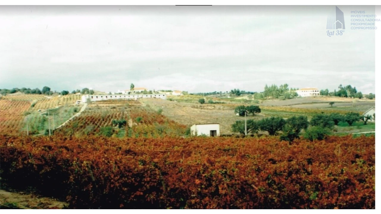 Negócio para Venda em Cartaxo e Vale da Pinta Foto 6