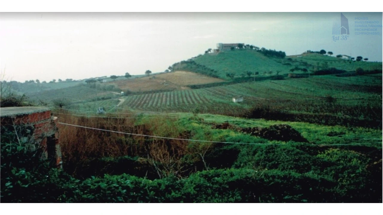 Negócio para Venda em Cartaxo e Vale da Pinta Foto 5