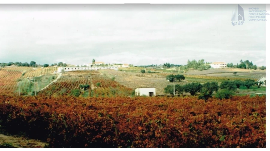 Negócio para Venda em Cartaxo e Vale da Pinta Foto 6