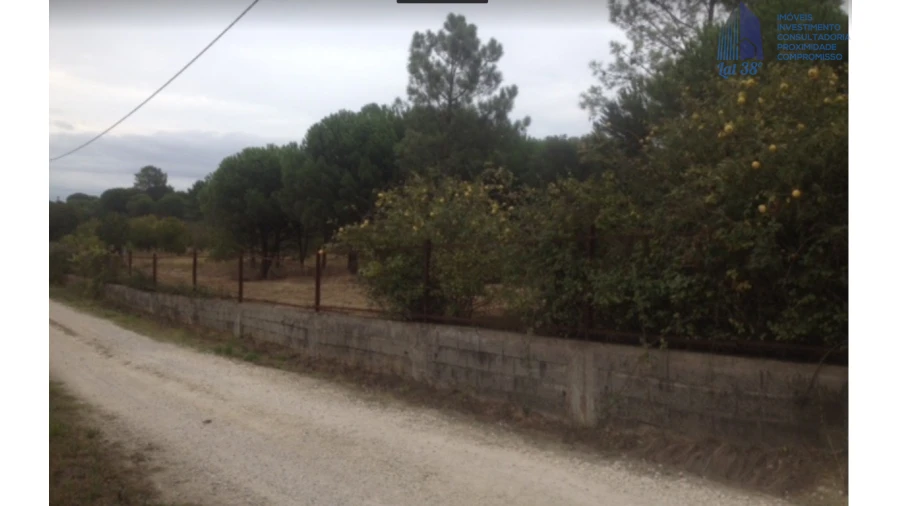 Negócio para Venda em Cartaxo e Vale da Pinta Foto 4