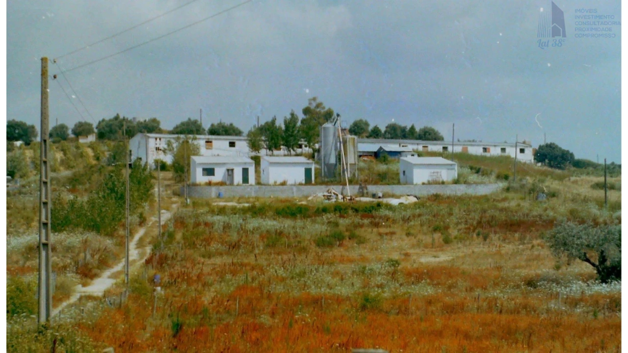 Negócio para Venda em Cartaxo e Vale da Pinta Foto 1