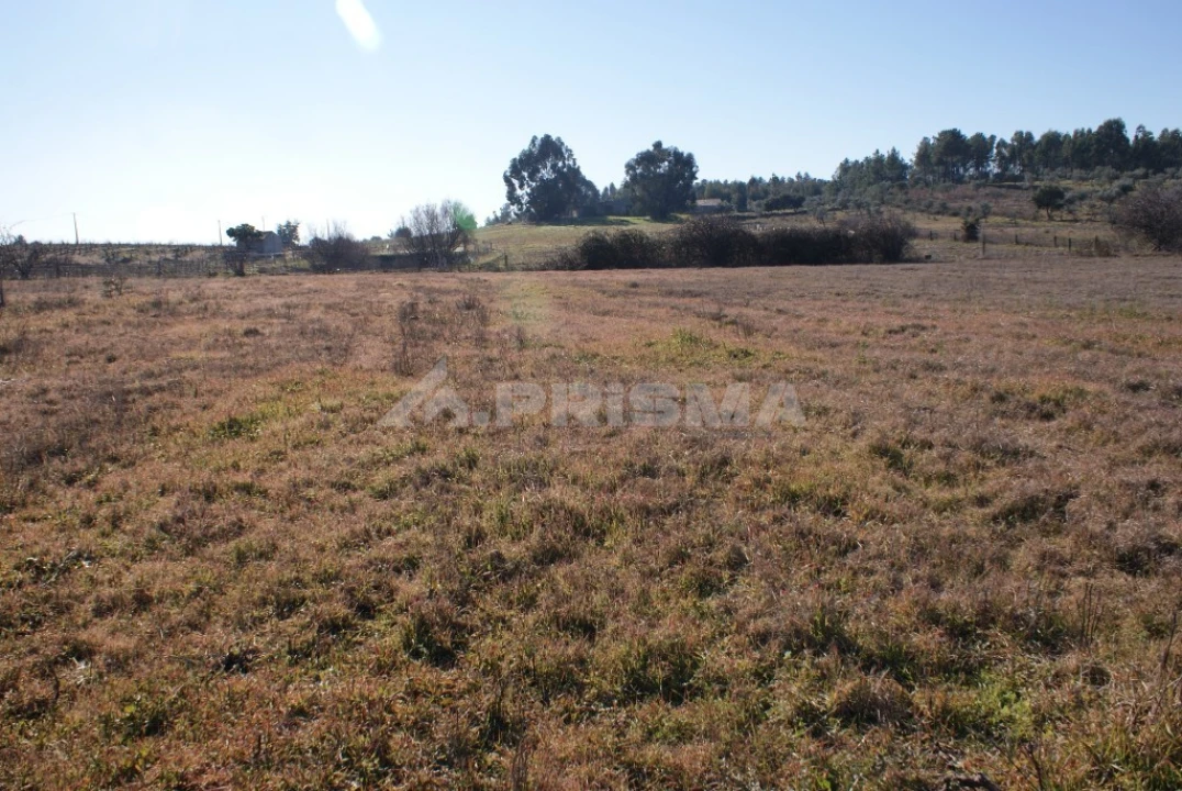Terreno para Venda em Ninho do Açor e Sobral do Campo Foto 21