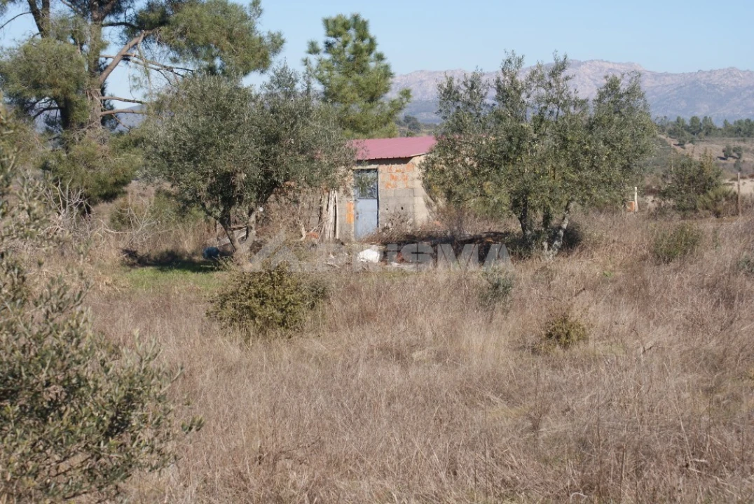 Terreno para Venda em Ninho do Açor e Sobral do Campo Foto 11