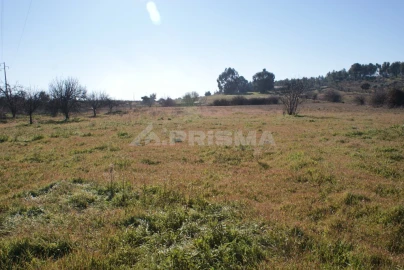 Terreno para Venda em Ninho do Açor e Sobral do Campo