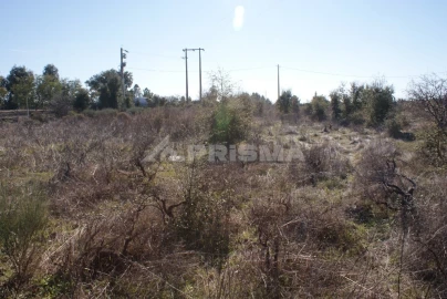 Terreno para Venda em Ninho do Açor e Sobral do Campo
