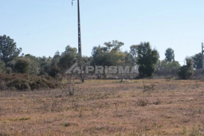 Terreno para Venda em Ninho do Açor e Sobral do Campo