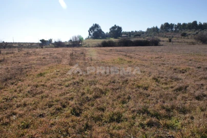 Terreno para Venda em Ninho do Açor e Sobral do Campo
