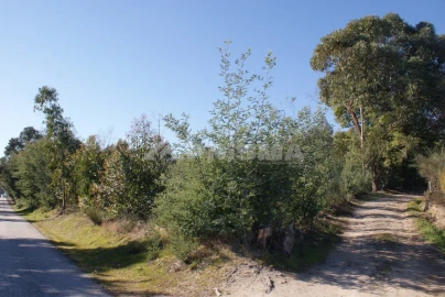 Terreno para Venda em Ninho do Açor e Sobral do Campo