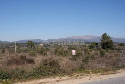 Terreno para Venda em Ninho do Açor e Sobral do Campo