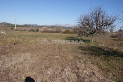 Terreno para Venda em Ninho do Açor e Sobral do Campo