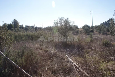 Terreno para Venda em Ninho do Açor e Sobral do Campo